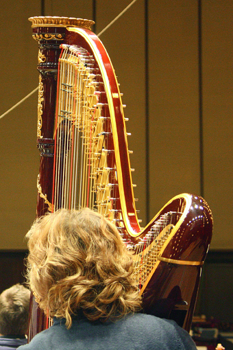 6 Katharina Herrmann